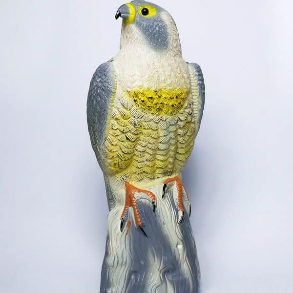Maketa dravca - Jastrab 40 cm | Plašič vtákov